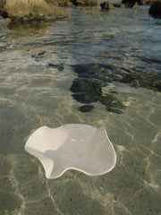 Seashell Ceramic Bowl