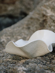 Seashell Ceramic Bowl