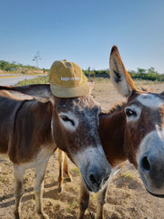 Bajo El Sol Corduroy Hat